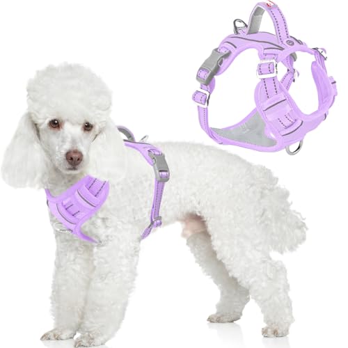 No Pull Dog Harness for Small Sized Dogs (Small(Chest:19.5-26”) / Violet Purple-Oxford)