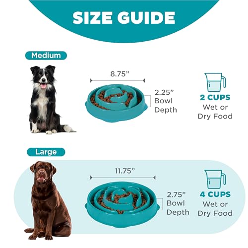 Fun Feeder Slo Bowl (Turquoise / Large)