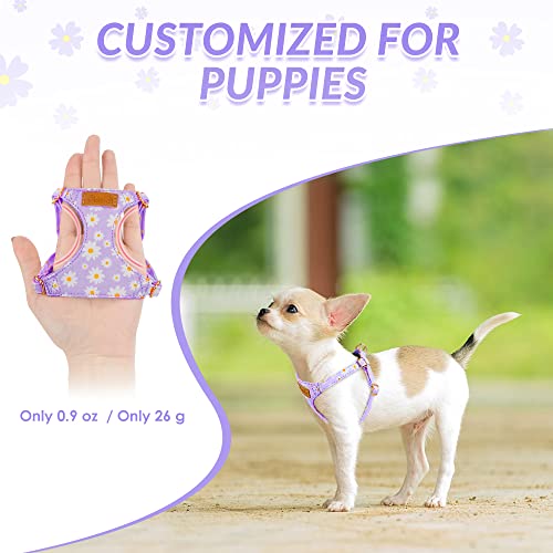 No Pull Dog Harness with Leash for Small Medium Dogs (Small(11-17.5lb) / Purple Daisy)