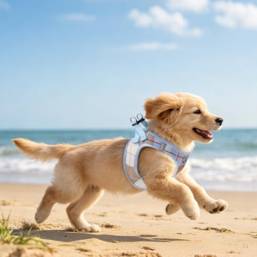 Dog Harness Collar and Leash Set No Pull for Small Medium Sized (Light Blue / M (CHEST 16"-18"))