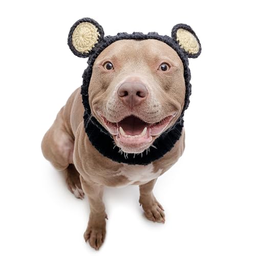 Black Bear Costume (Large / Black Bear)