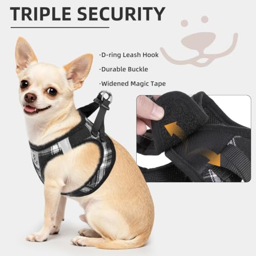 Dog Harness Collar and Leash Set No Pull for Small Medium Sized (Black / M (CHEST 16"-18"))