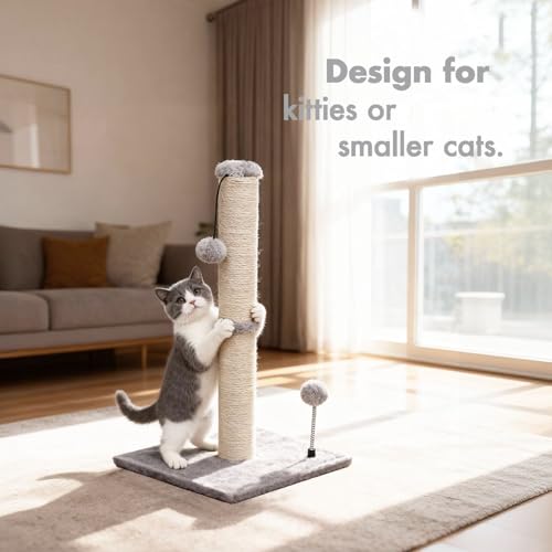 Cat Scratching Post Premium Basics Kitten Scratcher Sisal Scratch Posts with Hanging Ball 22" for Kittens or Smaller Cats (22 inches for kitten / Gray)