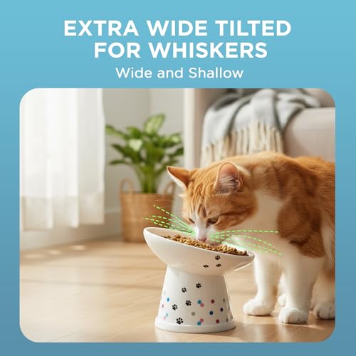 Necoichi Ceramic Elevated Food Bowl (Colorful Dots / Large Extra Wide Tilted)