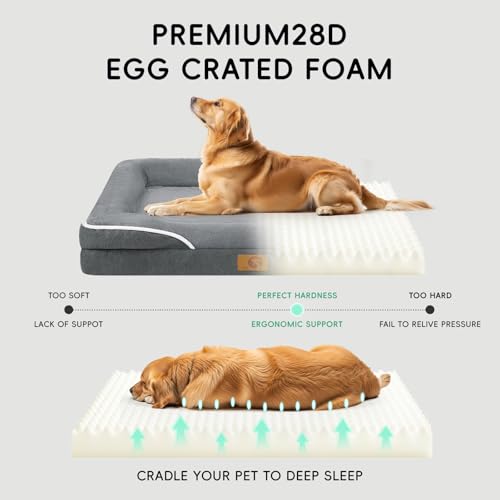 Dog Bed Large Sized Dog (36.0"Lx27.0"Wx6.5"H / 00-Dark Grey)