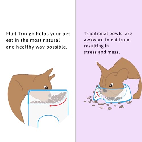 Elevated Slow Feeder Dog Bowls (Teal)