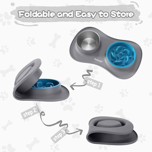 Dog Food and Water Bowl Set 3 in 1 (Medium / Gray)