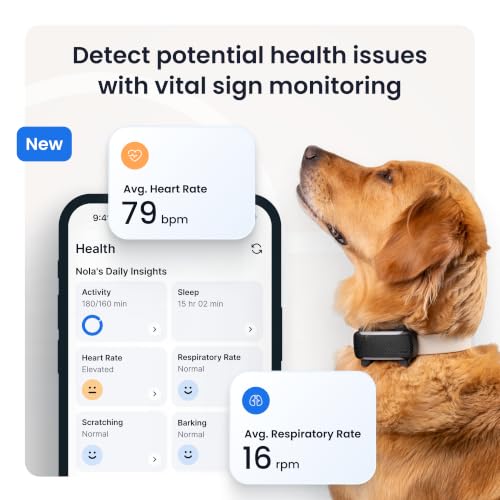 XL Smart Dog GPS Tracker (Black)