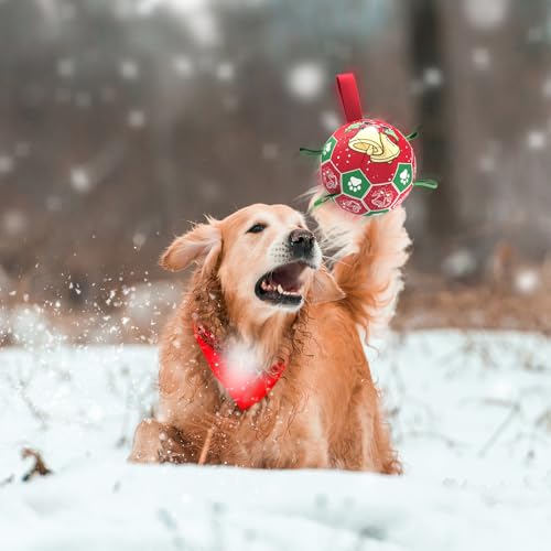 Christmas Dog Balls with Straps (Christmas 2 / 8 Inch)