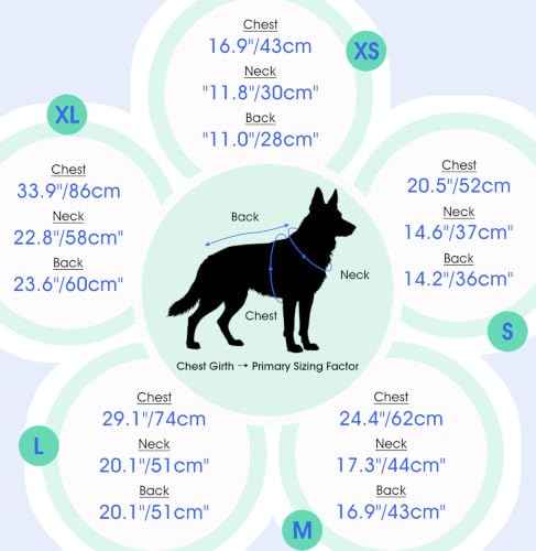 Breathable Anxiety Vest for Dogs (Black / Medium (Chest: 24.4"/62cm))
