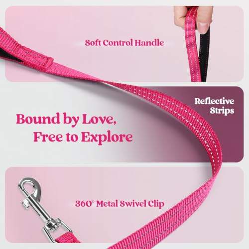 Dog Harness Small Sized and Leash Set (Pink Berry / S (chest: 15.1 - 16.5"))