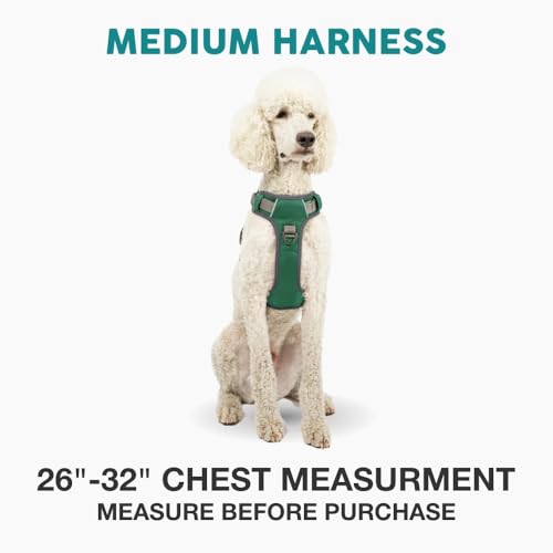 Embark No Pull Dog Harness (M / Green)