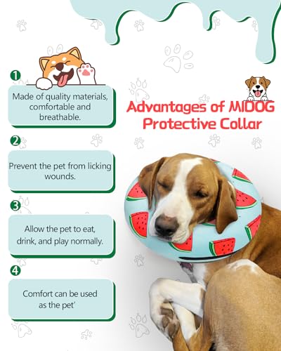 Inflatable Dog Cone (‌Melon / M(12"-15"))