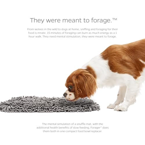 Forager Slow Feeder CAT and Dog Snuffle MAT and Feeding MAT