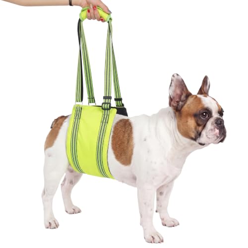 Dog Lift Harness (Fluorescent Green / S)