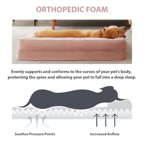 Orthopedic Washable Dog Bed (Pink / 36.0"l x 27.0"w x 6.5"th)