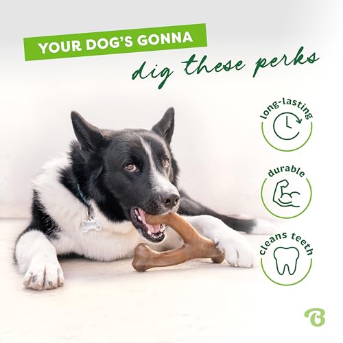 Wishbone Dog Chew Toy for Aggressive Chewers (Small)
