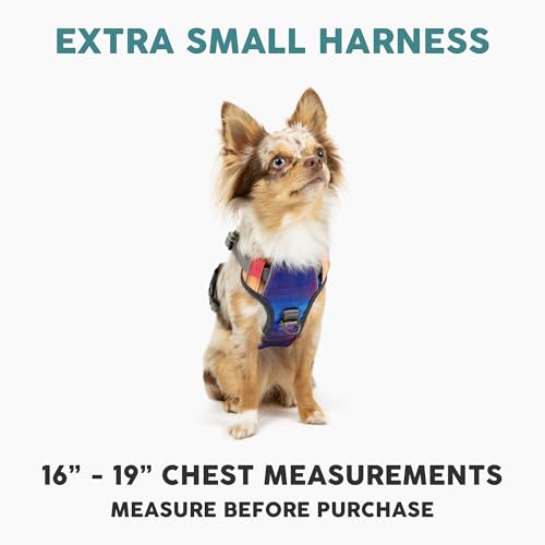 Embark No Pull Dog Harness (XS / Aurora)