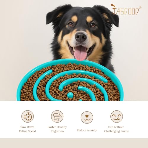 Slow Feeder Dogs Bowl for Large Medium Dogs (Large / B-Sky Blue)