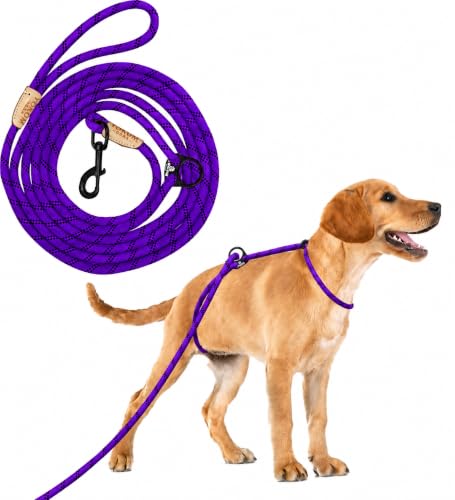12ft No Pull No Choke Leash Long Rope Dog Leash (12 Ft / PURPLE)
