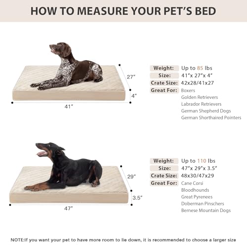Orthopedic Waterproof XL Dog Bed for Crate Cozy Sleep (Beige / 41"L x 27"W x 4"Th)