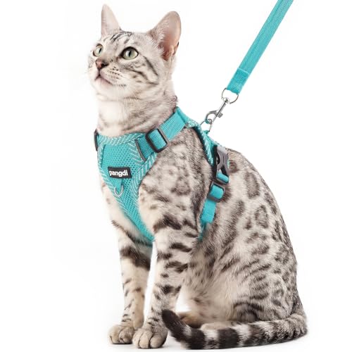 Cat Harness and Leash Set (Turquoise / Small)