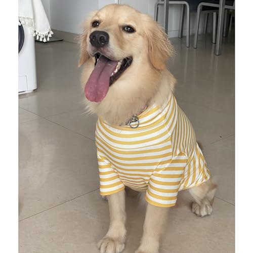 Turtleneck Dog Shirt Cute Doggie Embroidery Super Soft Dog Sweatshirt Stretchy Striped Puppy Pullover for Cats Small Medium Large Dogs (Yellow Striped / XXX-Large)