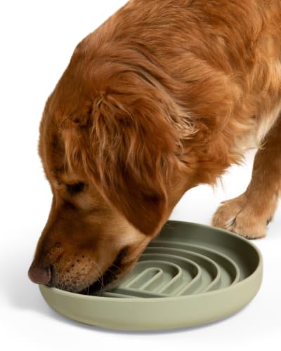 Slow Feeder Dog Bowl (Sage - Rainbow Design / Large (9.5” Across and 1.5” Tall))