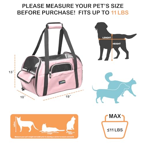 Soft Sided Airline (19.0"L x 10.0"W x 13.0"H / Pink)