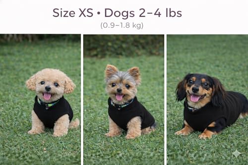 Dog Fleece Vest Sweater with Leash Ring (XS (2-4lbs) / Black)