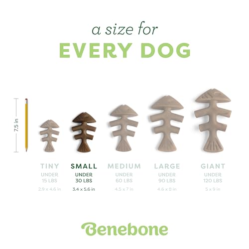 Fishbone Durable Dog Chew Toy for Aggressive Chewers (REAL Jack Salmon / Small)