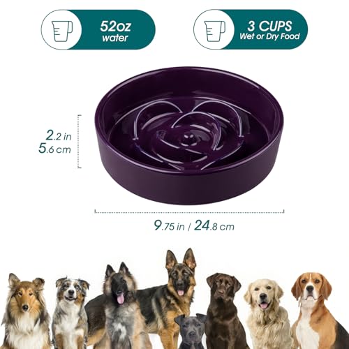 Slow Feeder Dog Bowl (L - 3 Cups / Dark Purple)