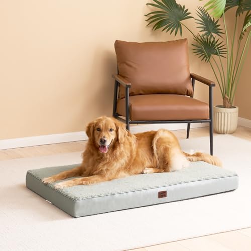Orthopedic Dog Bed Extra Large with Removable Washable Cover (50*36*4 inches / Greyish Green)