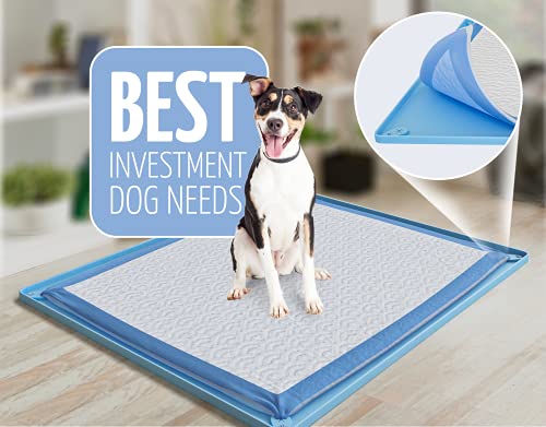 Dog Pee Pad Holder Tray Fits for 30” x 23” Pee Pads (30 x 23 Inches / Blue)