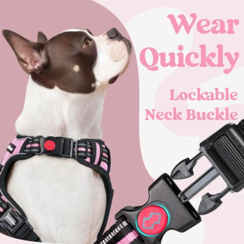 Dog Harness Small Sized (Small / Pink)
