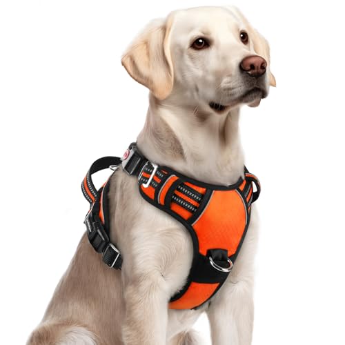 Dog Harness for Large (Orange / Large)