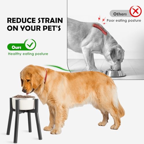 Elevated Dog Bowl Stand for Large Dogs (Height: 11", Width: 7-10.6" / Black, 4-Legs, 11H-Round)