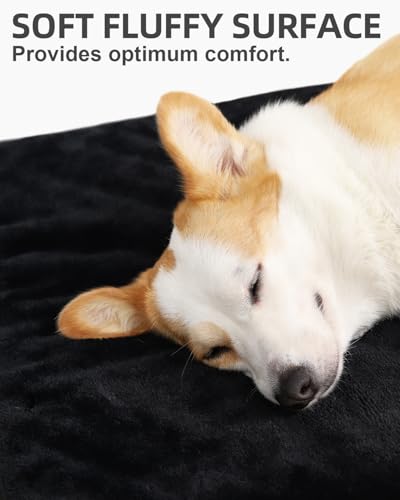 Orthopedic Dog Bed for Large Dogs with Waterproof Lining (Black / 35.0"L x 22.0"W x 3.0"Th)