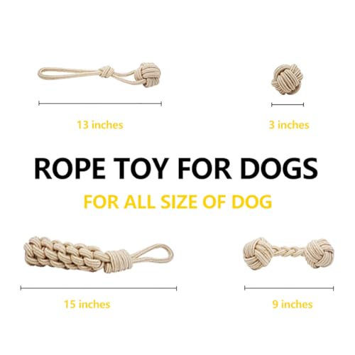 Dog Chew Toys