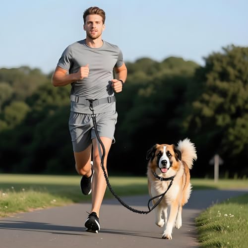 Hands Free Dog Leash for One Dog Up to 125 lb (Gray / One Dog)