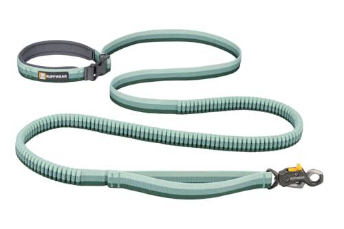 Roamer Lock Bungee Dog Leash (River Rock Green / 7.3'-11')