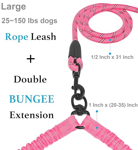 Double Dog Leash (Pink / Large)