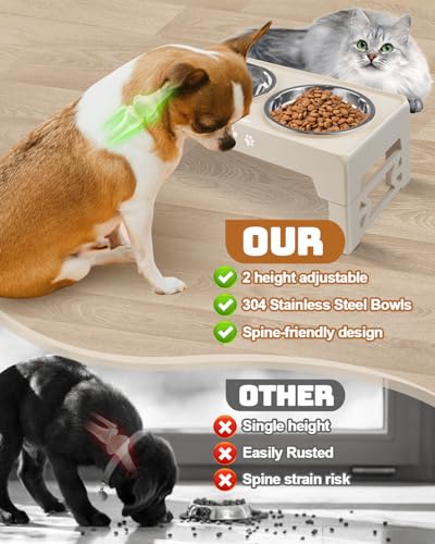Elevated Dog Bowls for Small Dogs and Cats (for Small Dogs and Cats 2 Basic Bowls / Beige)