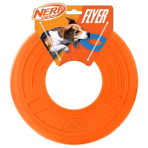 Atomic Flyer Outdoor Dog Toy (Orange / 10 Inch)