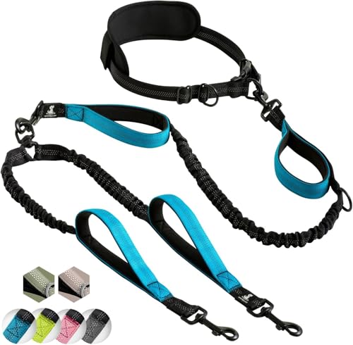 Hands Free Dual Dog Leash (Blue / 2 dogs M/L)