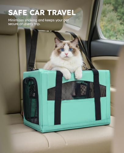 Cat Carrier Stable (Light Green / 18.5"L x 12.9"W x 11.8"H)