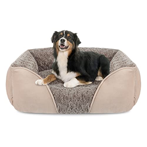 X Large Dog Bed for Large Medium Small Dogs Rectangle Washable Dog Bed (XL(35"x 25"x 9") / Beige)