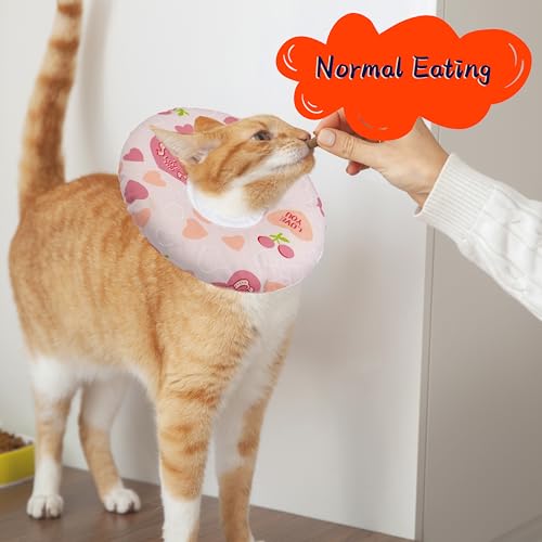 Cat Cone Collar Soft (Pink Heart / Large)