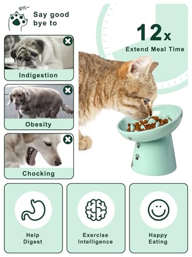 Slow Feeder Cat Bowl (Green)