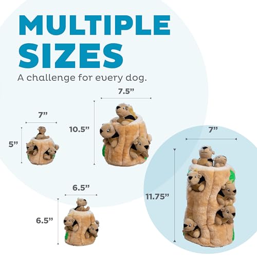 Hide-A-Squirrel Plush Squeaky Dog Toy, XL, 7" x 11.8" (Squirrel Xlarge / X Large (Pack of 1))